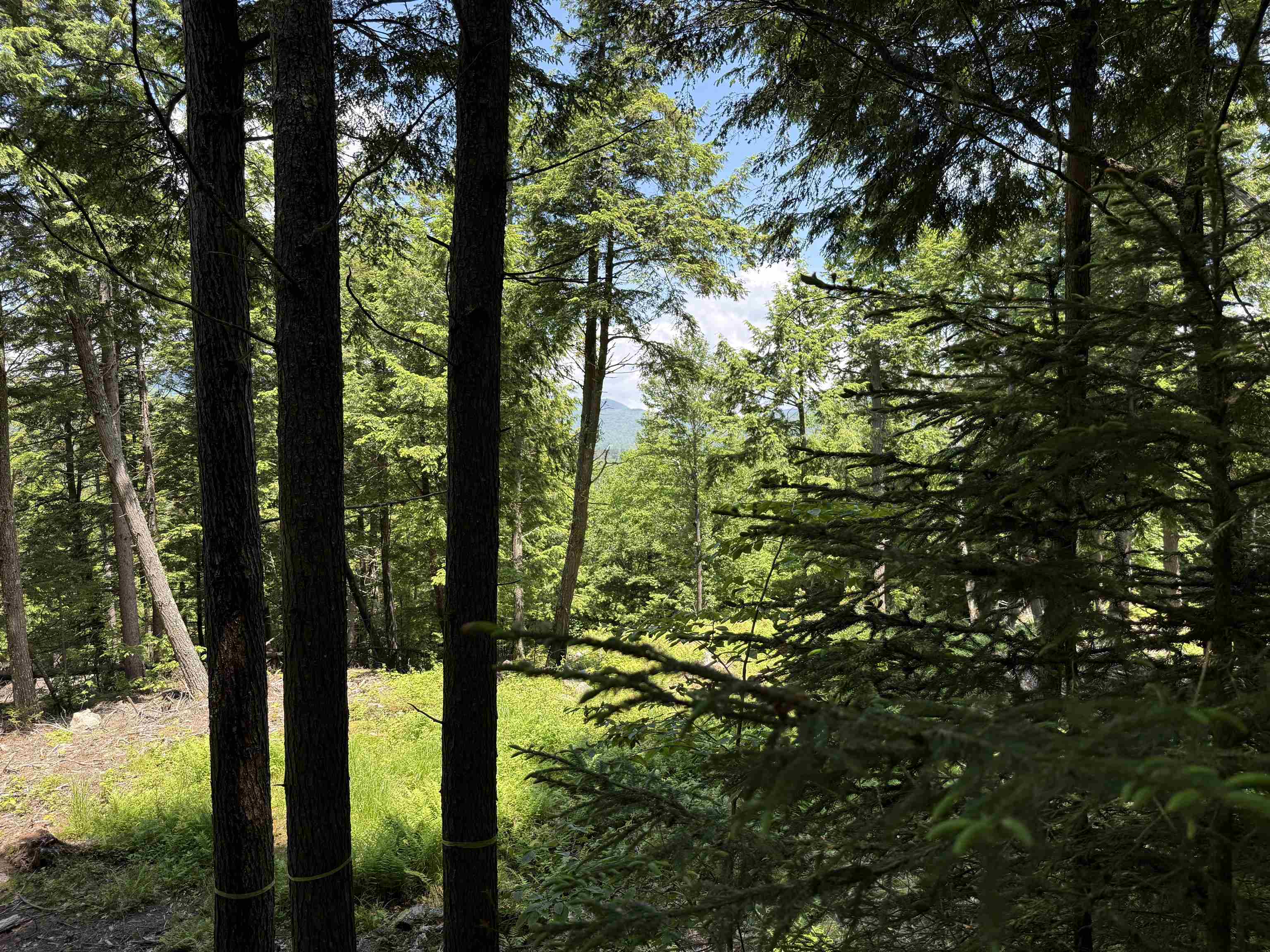 Lot 15 Kelly Way Campton, NH 03223 - Photo 8 of 10