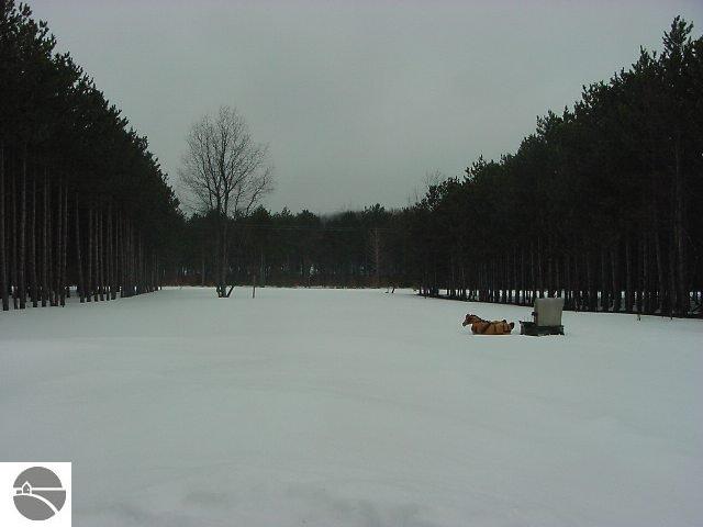 6327 North 5 Road Copemish, MI 49625 - Photo 4 of 8 1690064-4.JPG