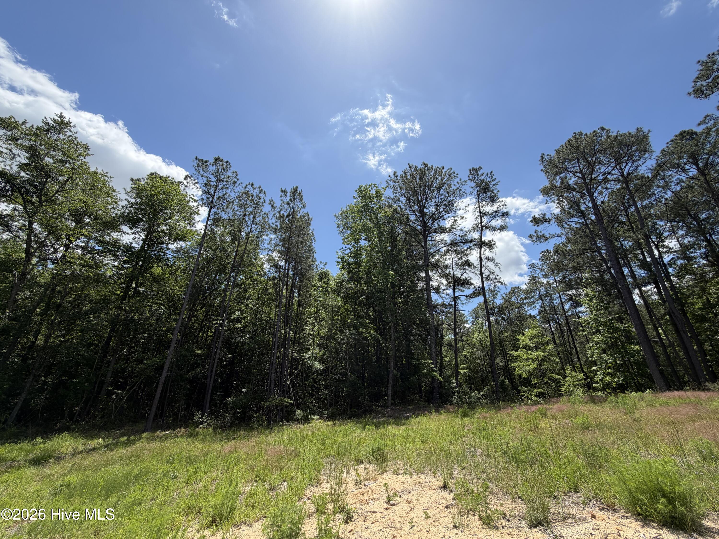 979 Aiken Road Vass, NC 28394 - Photo 19 of 26 979 Aiken Rd 19