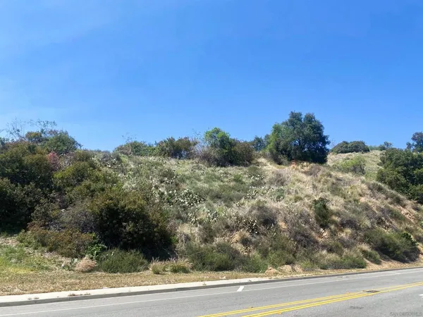 a view of a yard