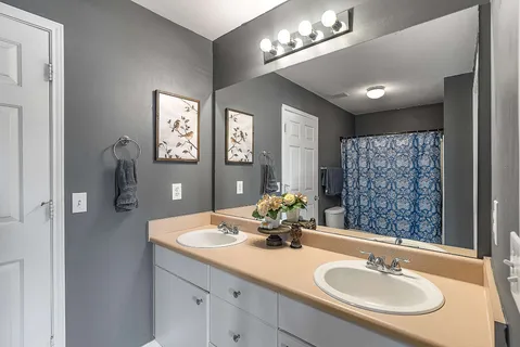 a bathroom with a sink double vanity and a mirror