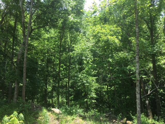 264 Hopewell Road Dunlap, TN 37327 - Photo 22 of 31 IMG_8152