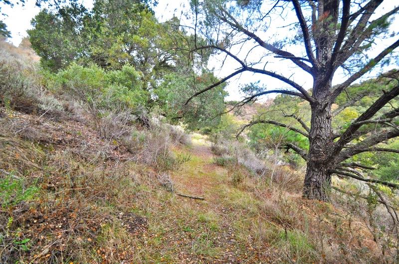 0 Mt Eden Road Saratoga, CA 95070 - Photo 27 of 27