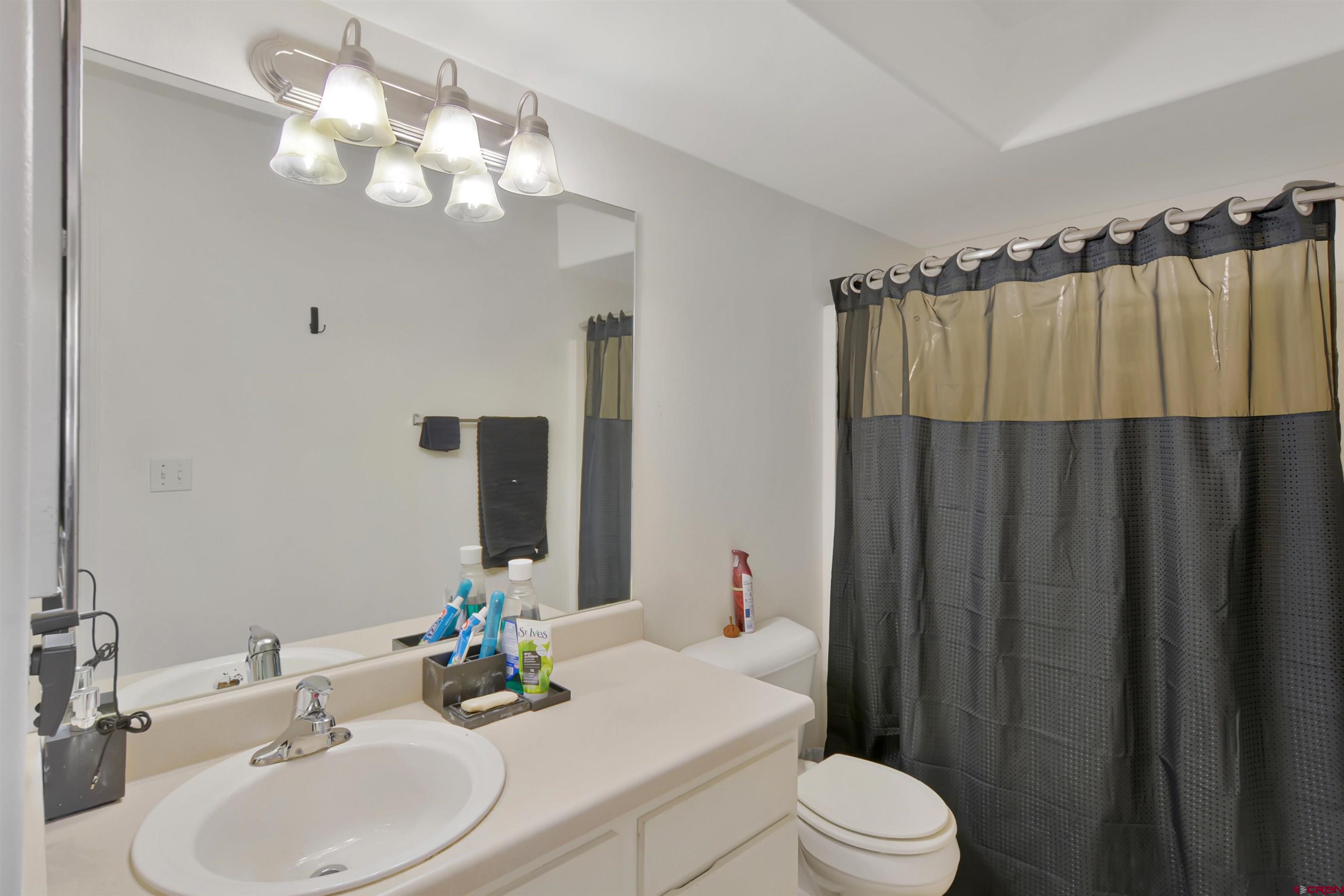 1100 Goeglein Gulch Road, Unit 223 Durango, CO 81301 - Photo 4 of 25 a bathroom with a sink vanity mirror and toilet