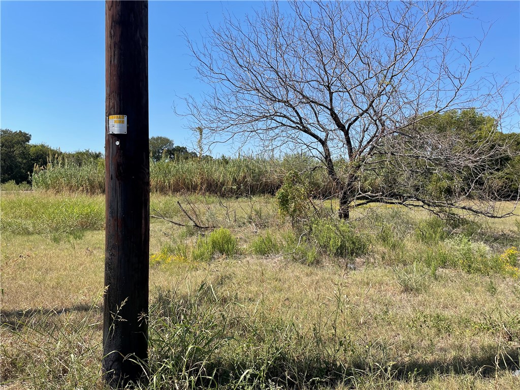 3920 Harrison Street Waco, TX 76705 - Photo 5 of 7 a view of a yard