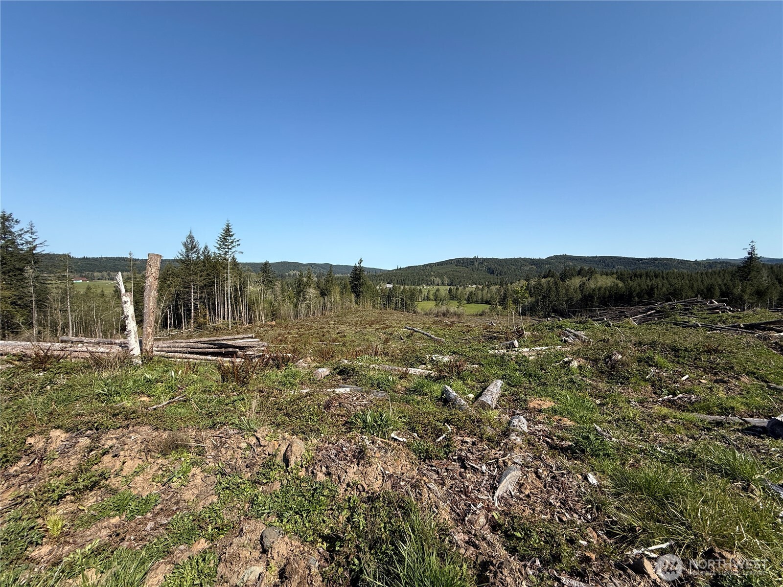 4-xx Oppelt Road Chehalis, WA 98532 - Photo 2 of 8