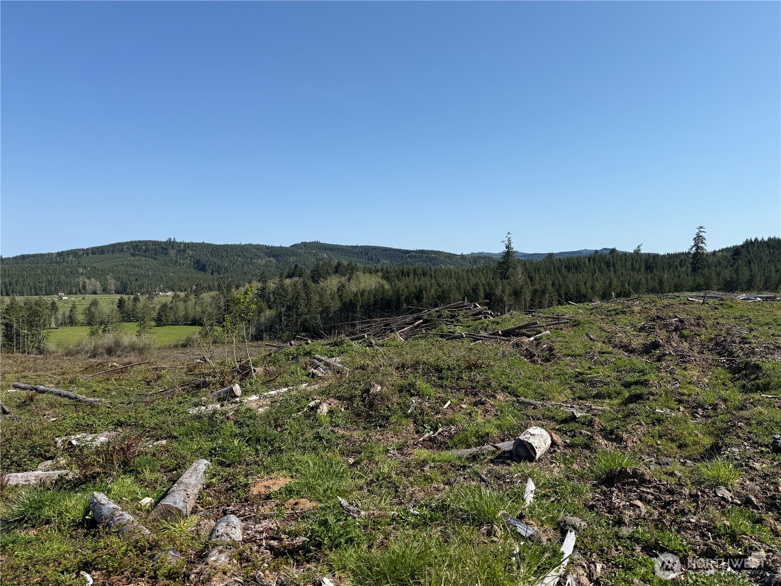 4-xx Oppelt Road Chehalis, WA 98532 - Photo 3 of 8