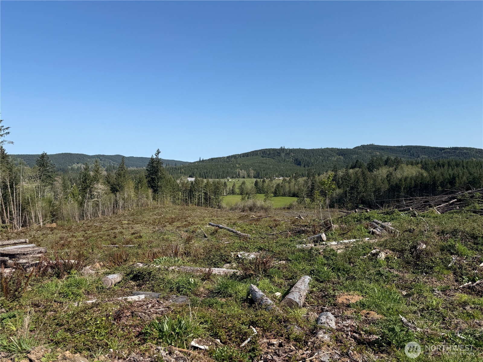 4-xx Oppelt Road Chehalis, WA 98532 - Photo 4 of 8