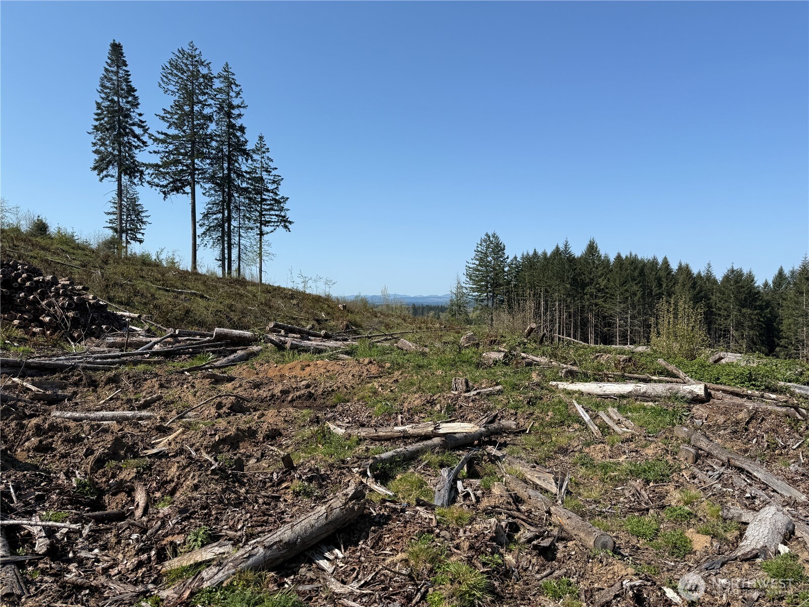 4-xx Oppelt Road Chehalis, WA 98532 - Photo 5 of 8