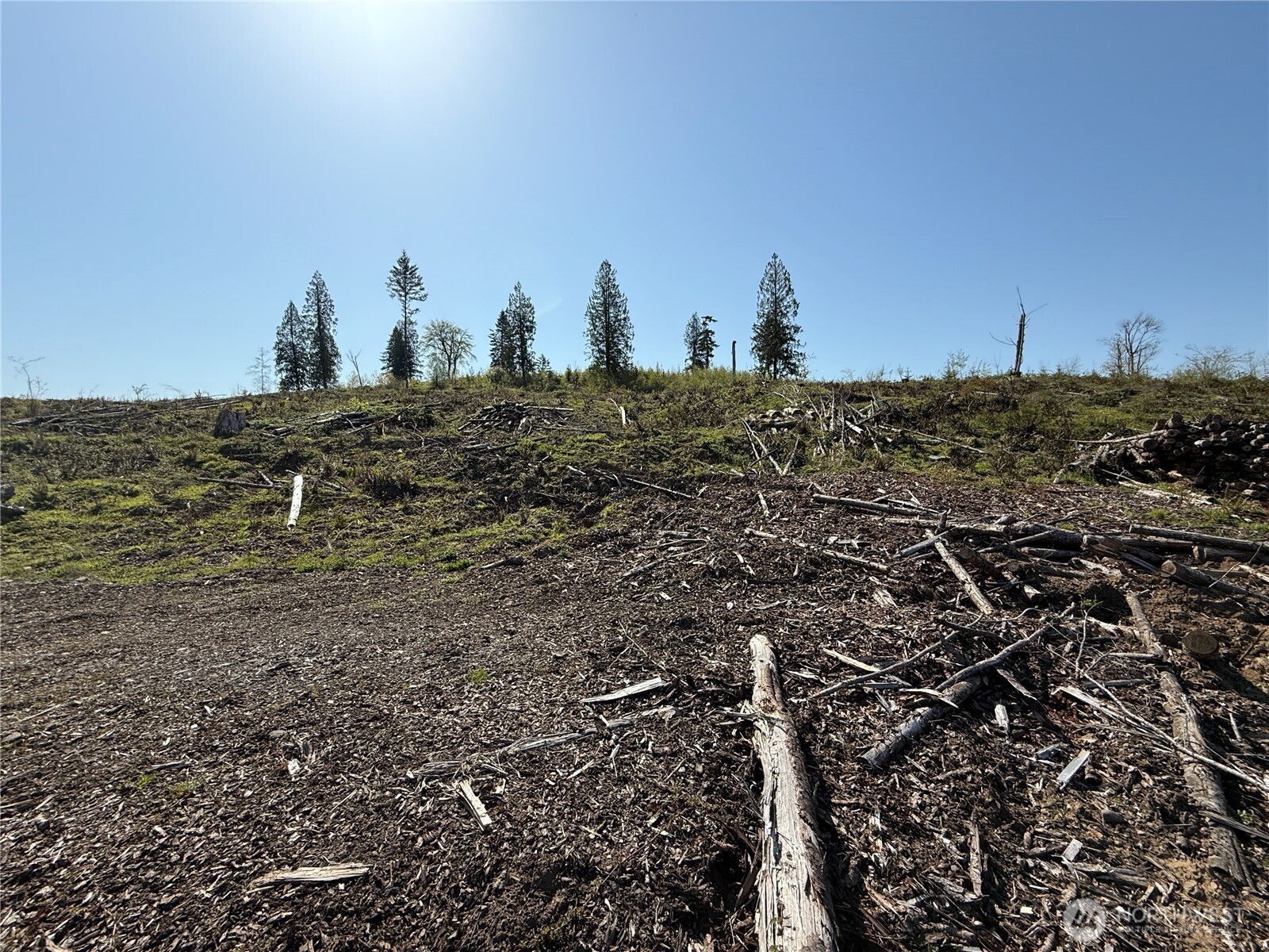 4-xx Oppelt Road Chehalis, WA 98532 - Photo 6 of 8