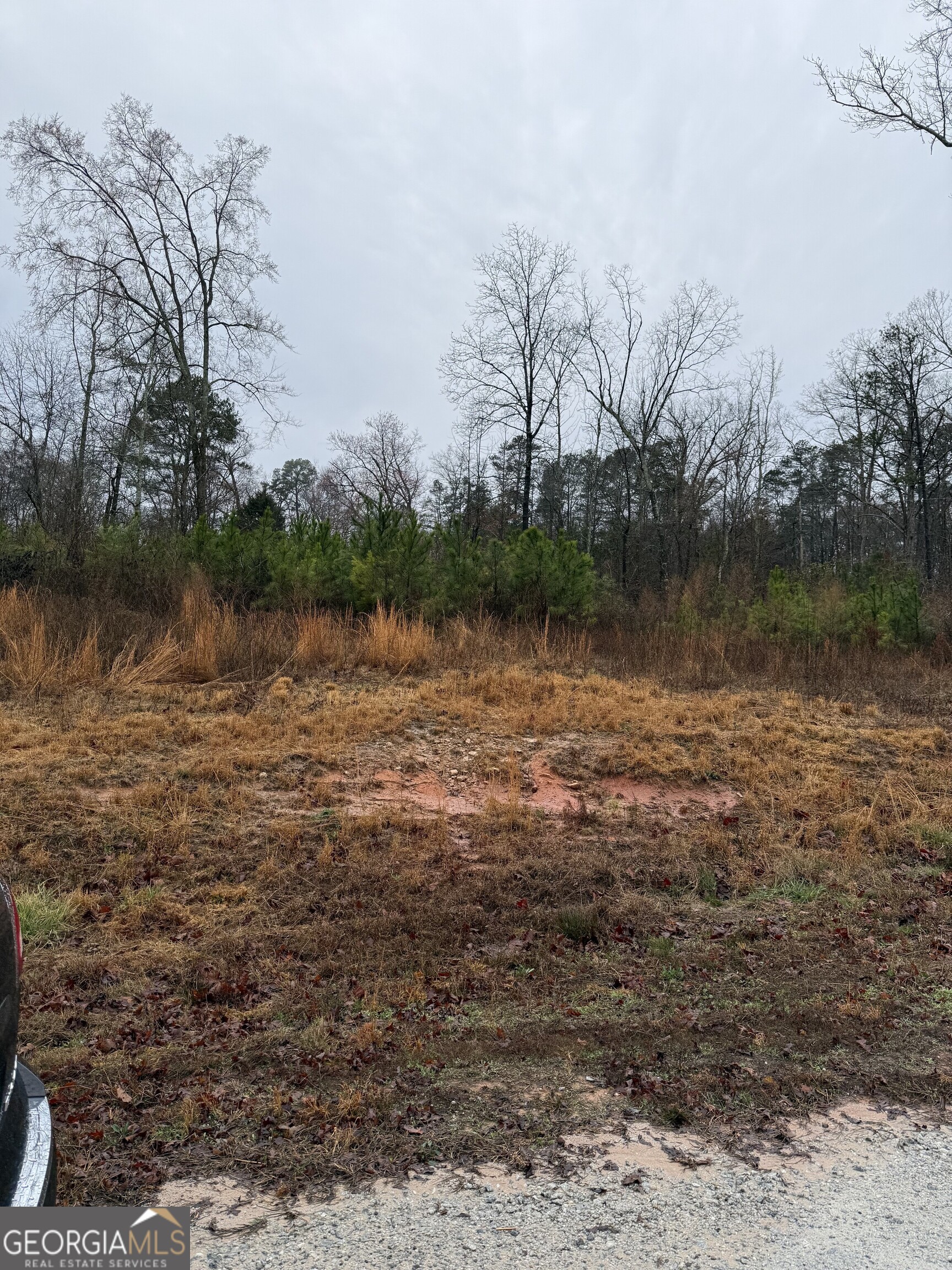 874 Forrester Cemetery Road Covington, GA 30014 - Photo 3 of 4 a view of a lake view