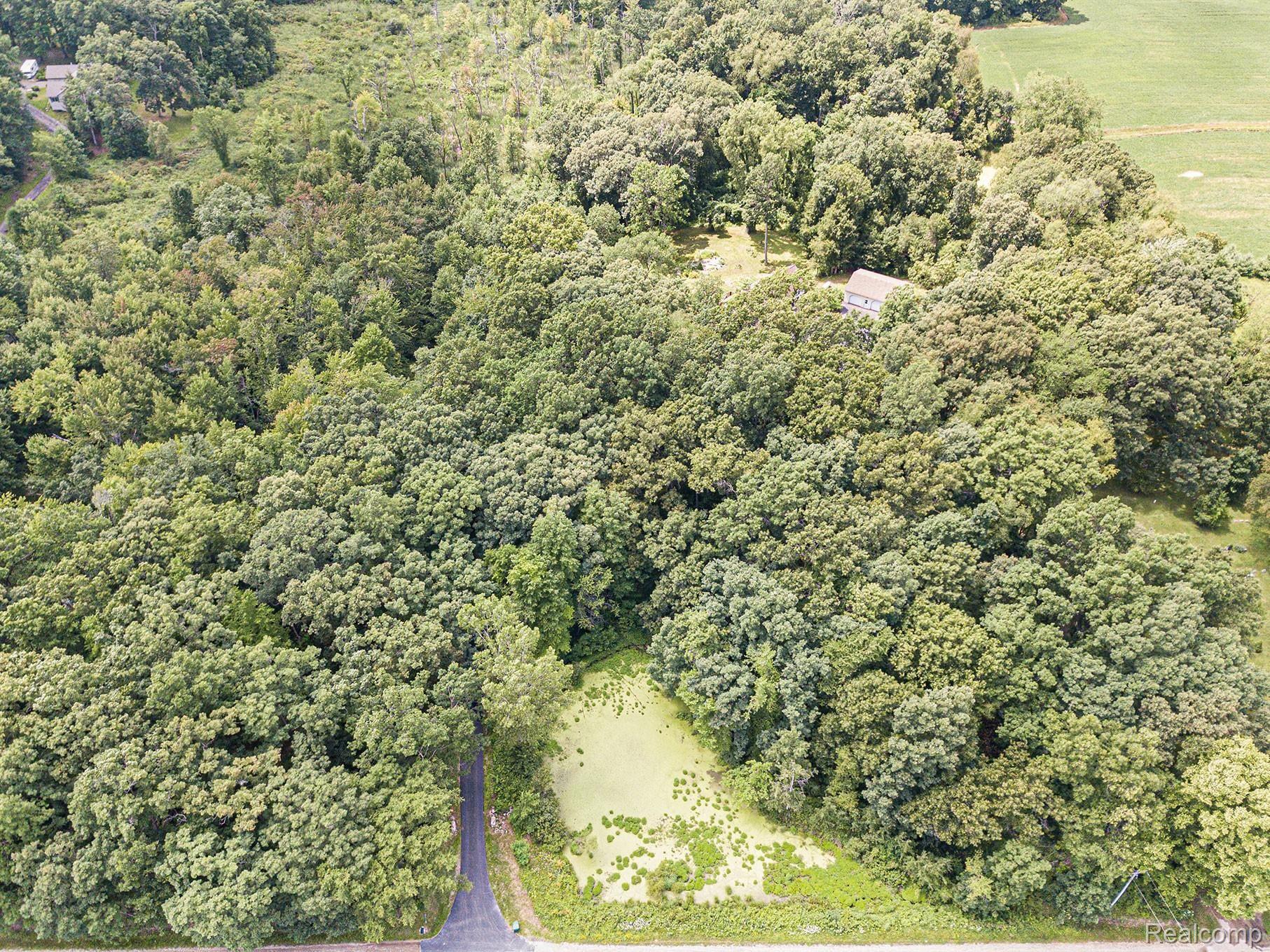 3582 Pinckney Road Howell, MI 48843 - Photo 32 of 42 DJI_0016.jpg
