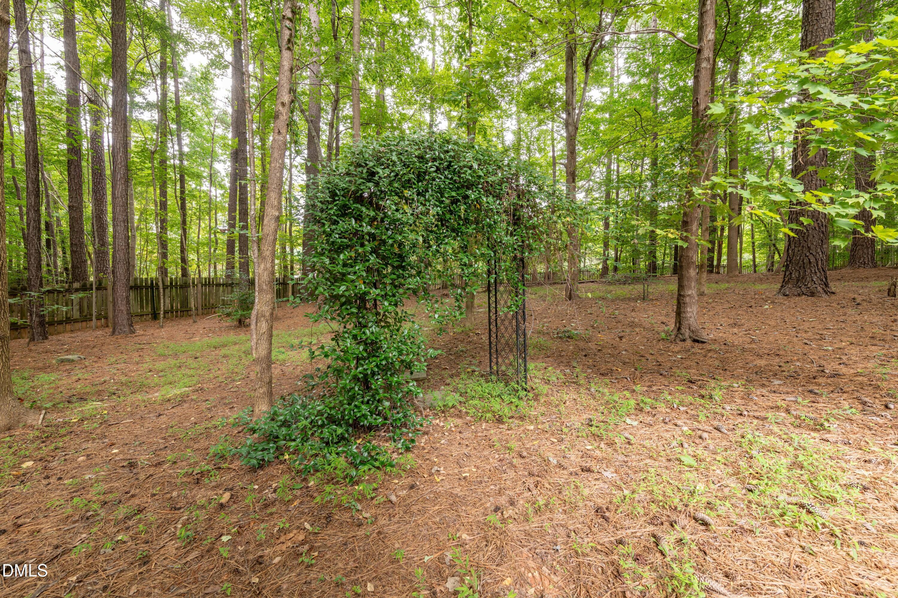 6832 Cool Pond Road Raleigh, NC 27613 - Photo 20 of 27 a view of outdoor space with deck and trees