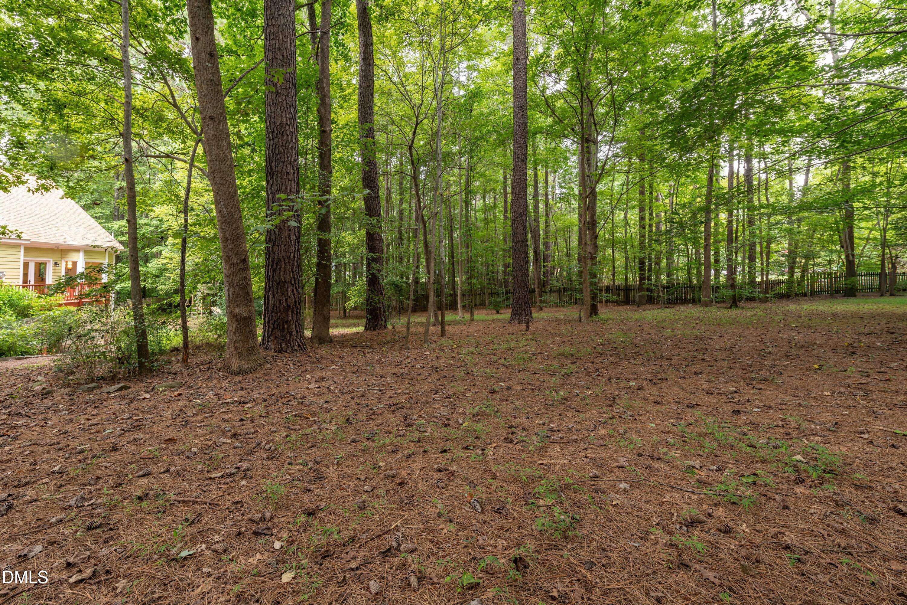 6832 Cool Pond Road Raleigh, NC 27613 - Photo 21 of 27 a view of outdoor space with trees