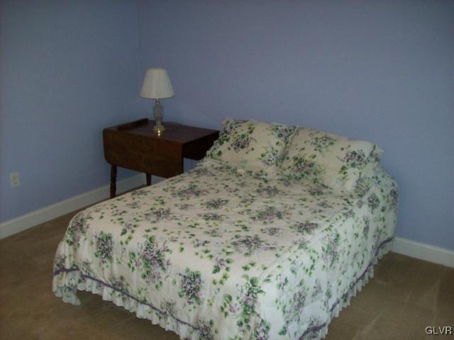 256 Grove Road Kunkletown, PA 18058 - Photo 20 of 50 Gallery Image 20