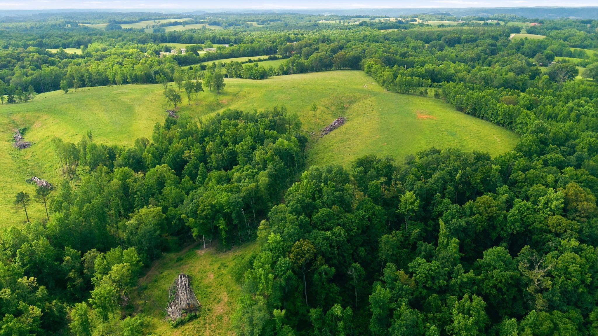 528 Sumac Road Pulaski, TN 38478 - Photo 7 of 23