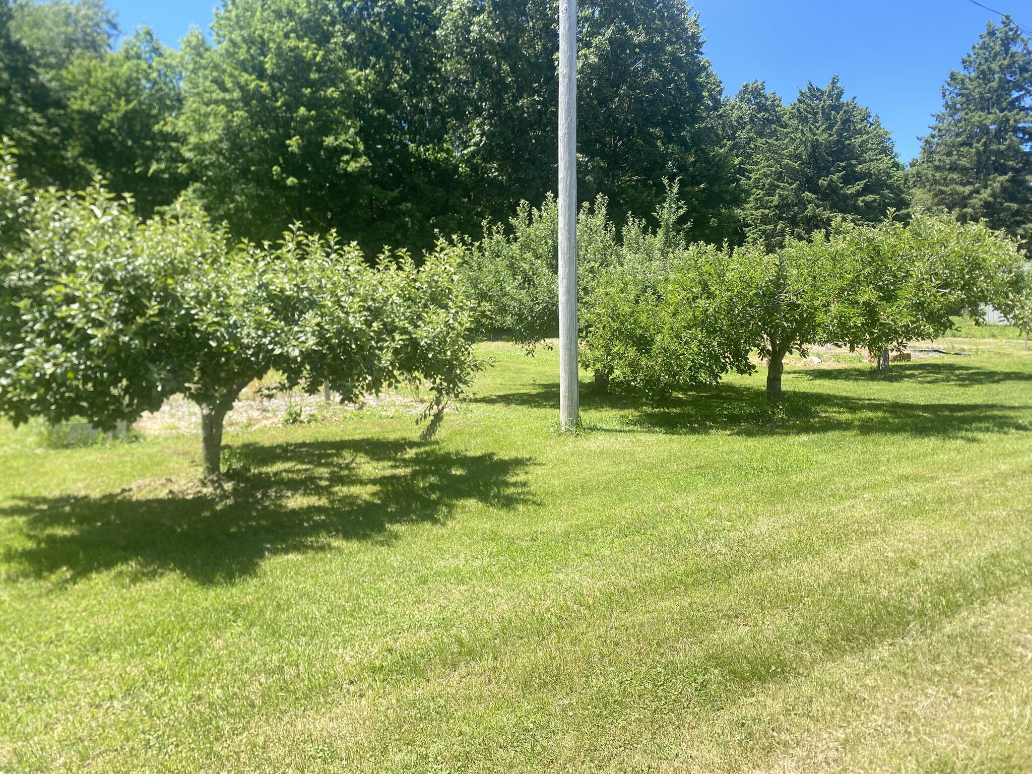 12915 Cassidy Road Bellevue, MI 49021 - Photo 108 of 128 IMG_9382