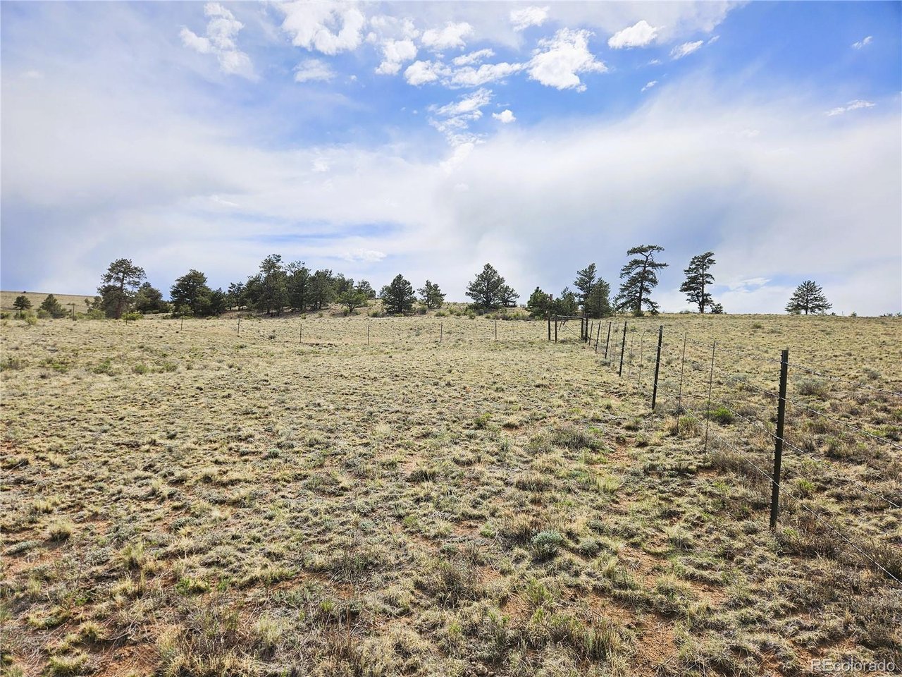 24131 Chato Road Hartsel, CO 80449 - Photo 10 of 28