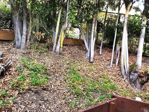 $3,450 | 2371 Vista Del Mar, Tiburon, CA 94920