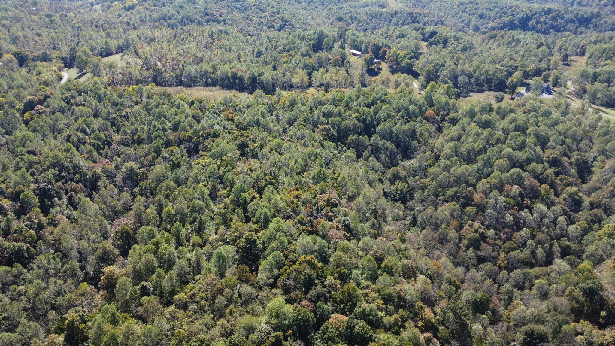 1 Ward Lane Bethpage, TN 37022 - Photo 14 of 17 view of a field of grass and trees