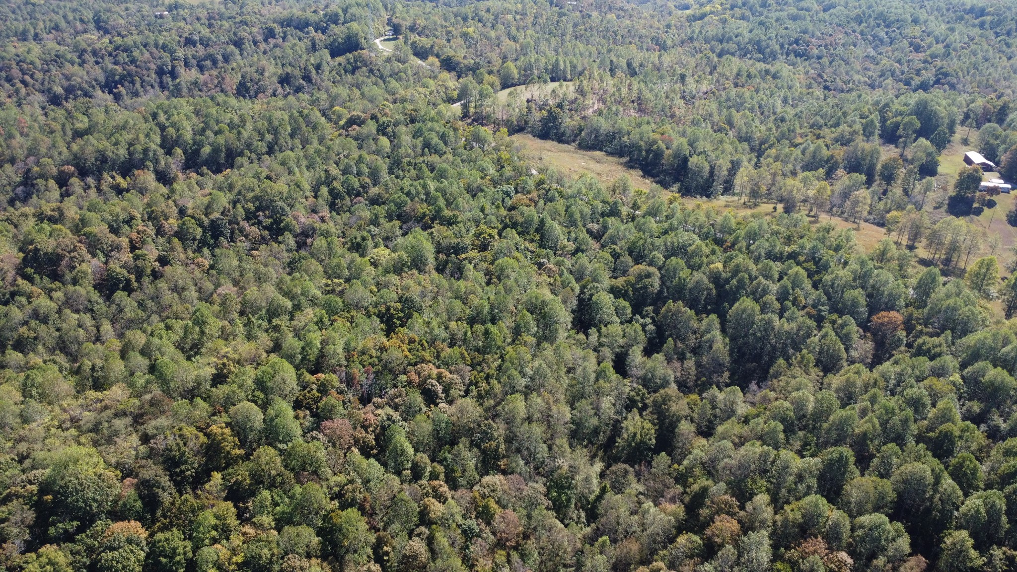 1 Ward Lane Bethpage, TN 37022 - Photo 17 of 17