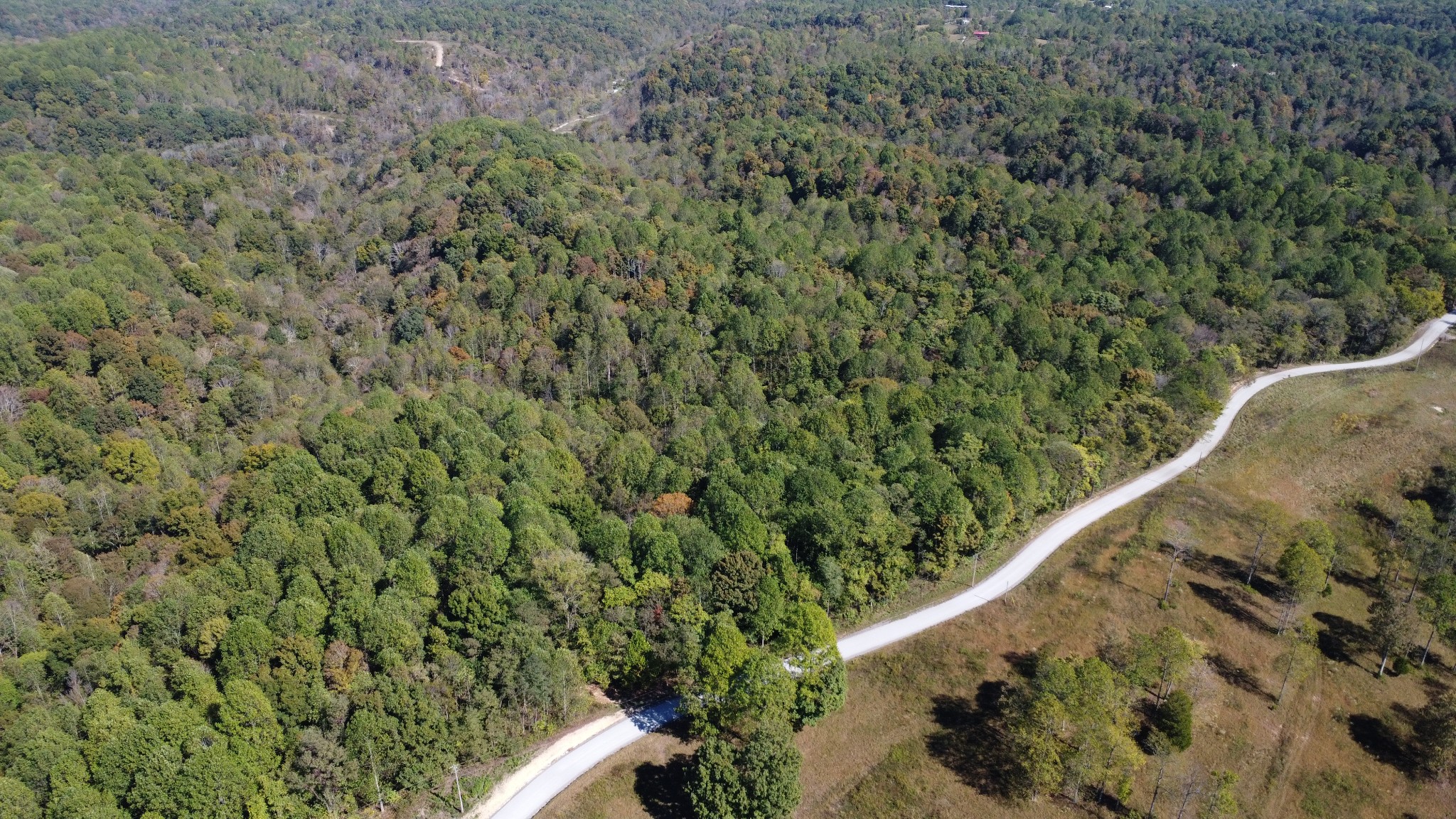 1 Ward Lane Bethpage, TN 37022 - Photo 2 of 17 a view of a forest with a forest