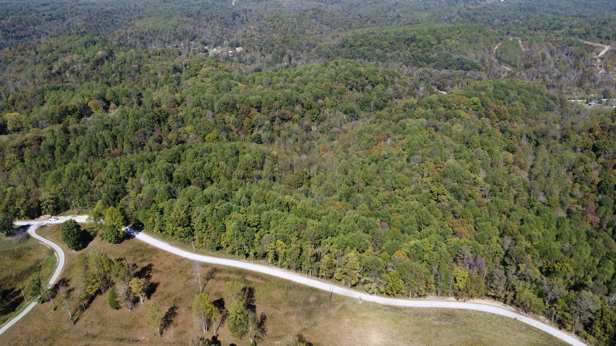 1 Ward Lane Bethpage, TN 37022 - Photo 4 of 17 a view of balcony with wooden floor