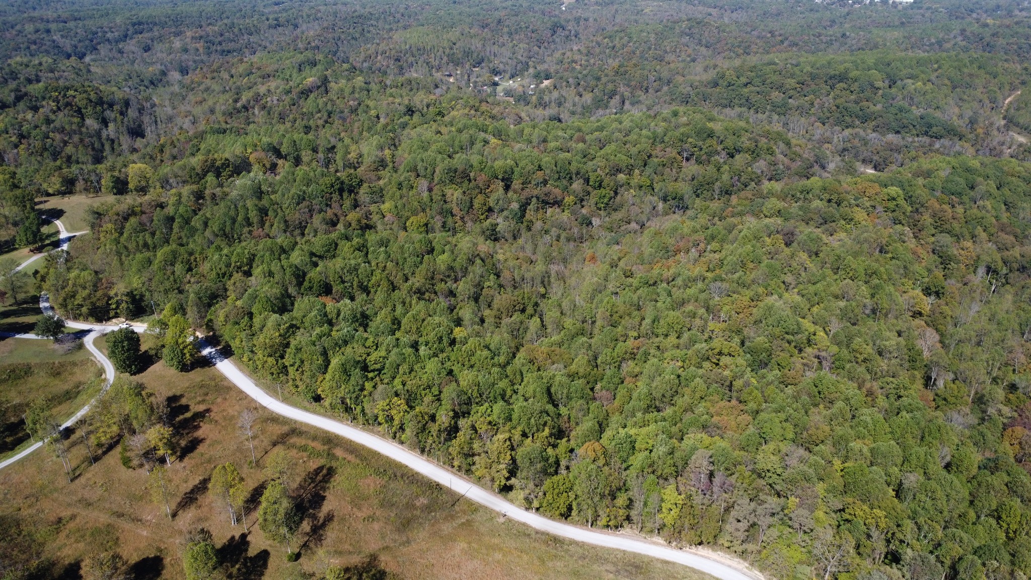 1 Ward Lane Bethpage, TN 37022 - Photo 5 of 17 a view of a forest from a window