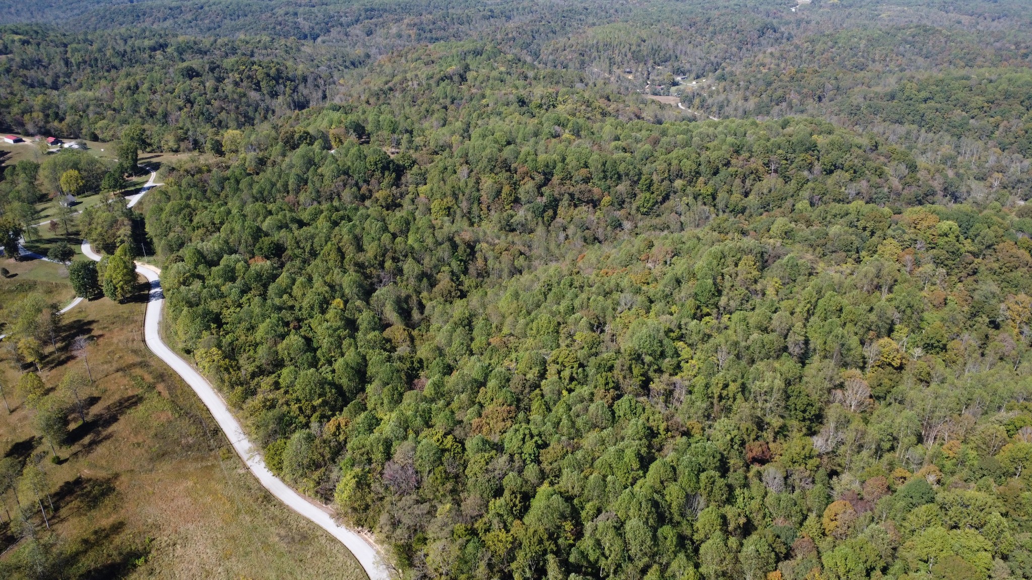 1 Ward Lane Bethpage, TN 37022 - Photo 6 of 17 a view of a house with a forest