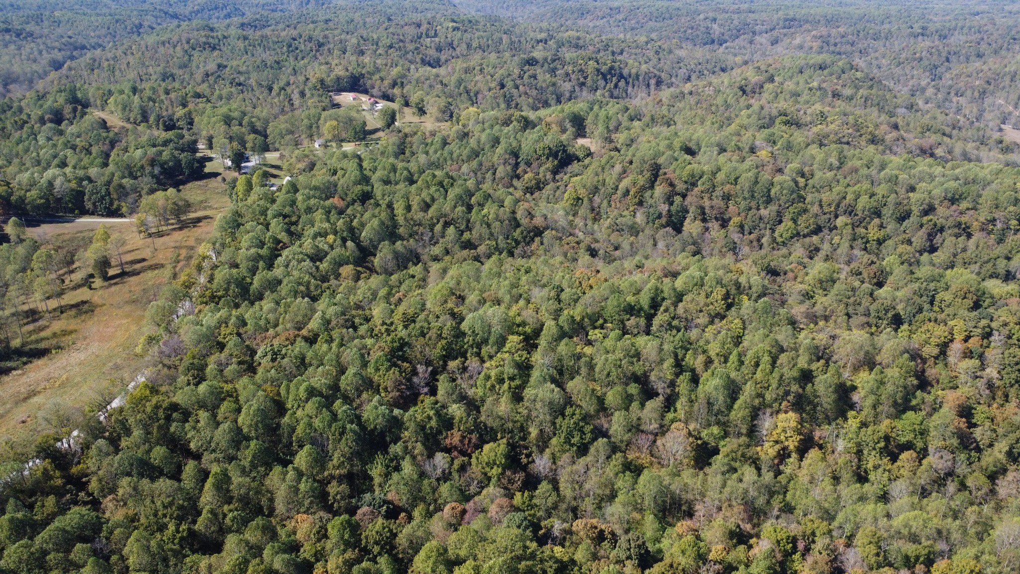 1 Ward Lane Bethpage, TN 37022 - Photo 8 of 17 a view of a forest with a street