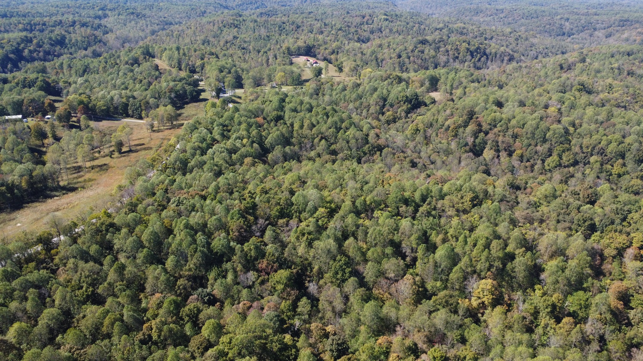 1 Ward Lane Bethpage, TN 37022 - Photo 9 of 17 a view of a forest with a street