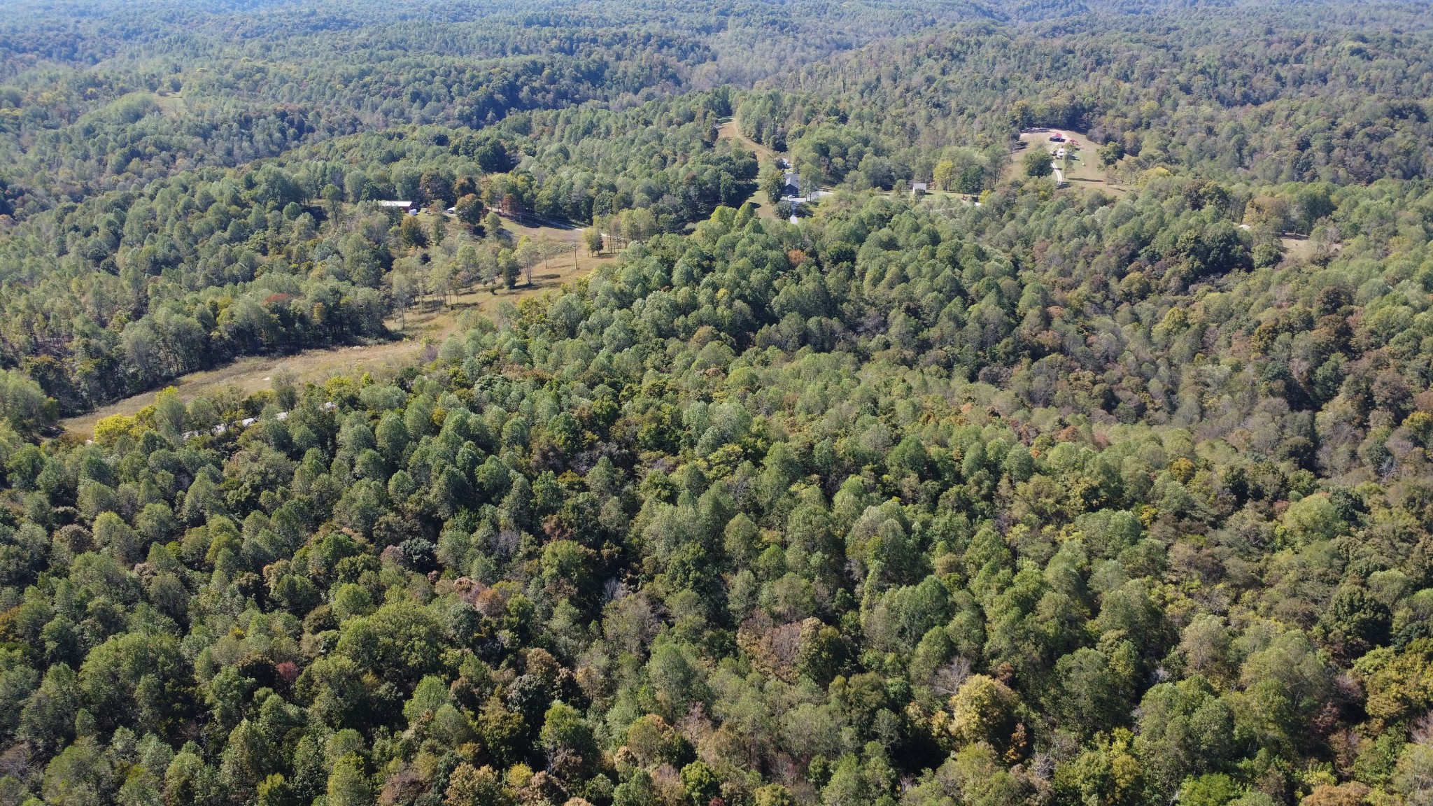 1 Ward Lane Bethpage, TN 37022 - Photo 10 of 17 an aerial view of a house with a yard