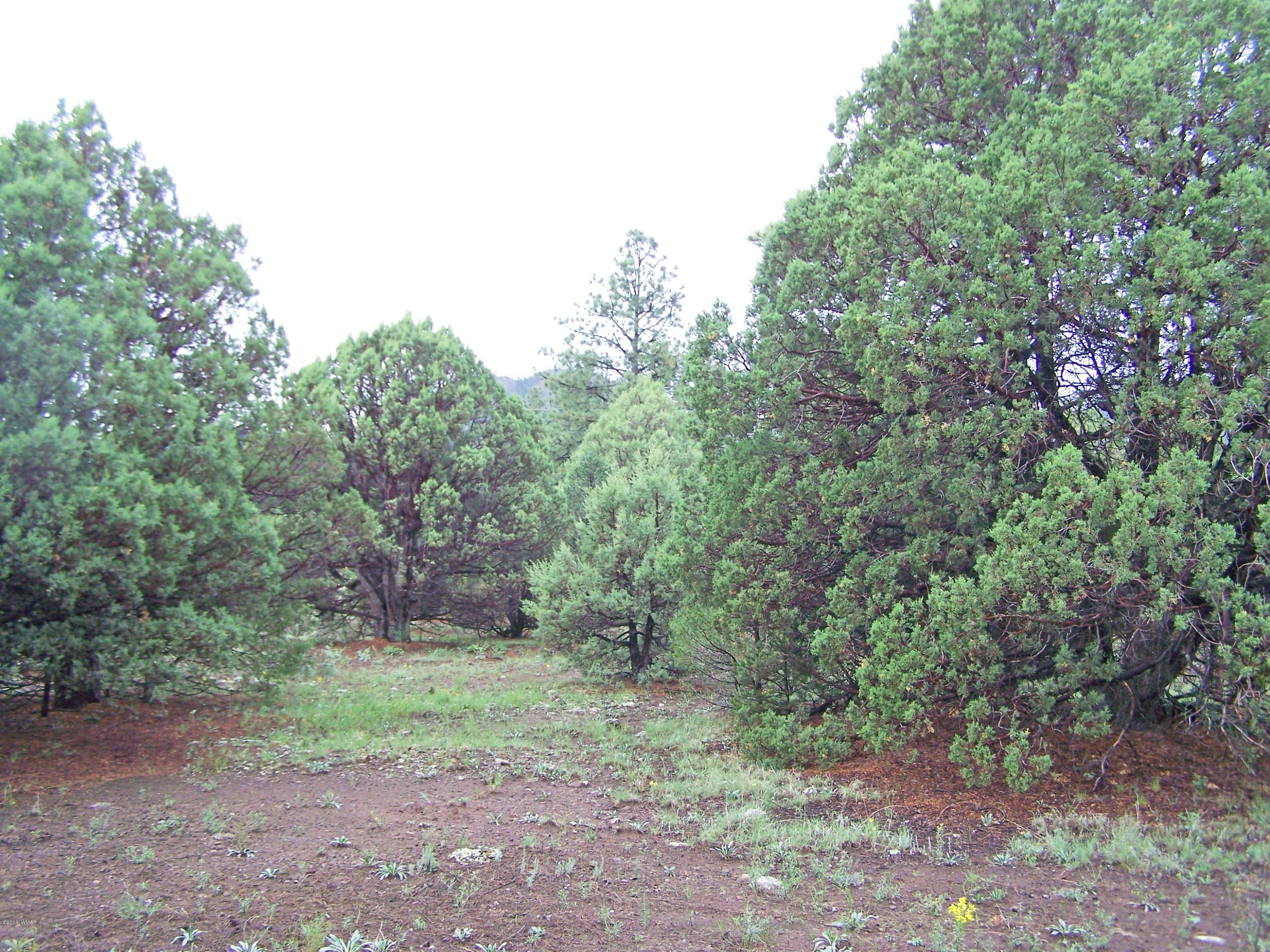 0 County Road Nutrioso, AZ 85932 - Photo 1 of 8