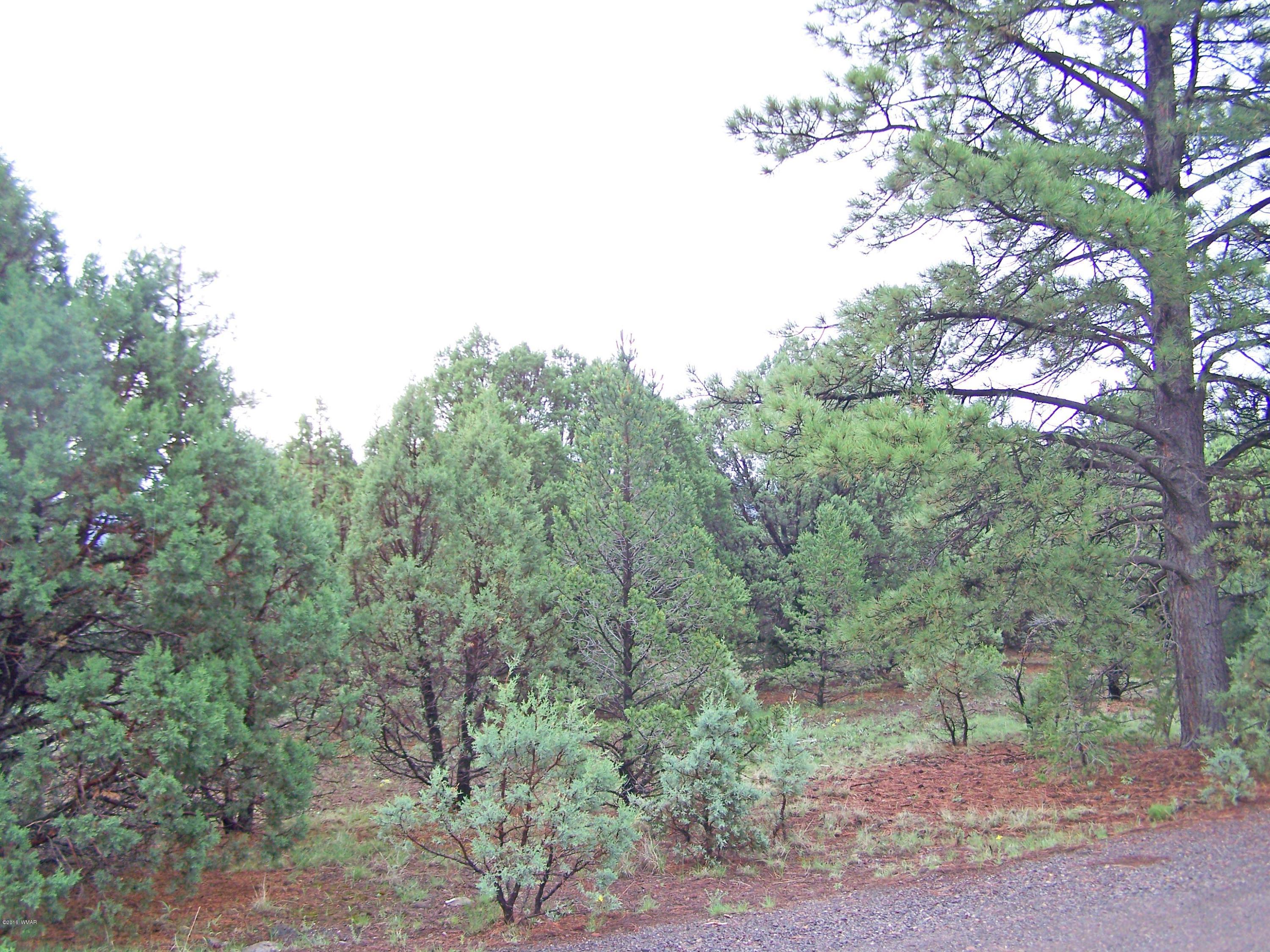 0 County Road Nutrioso, AZ 85932 - Photo 3 of 8