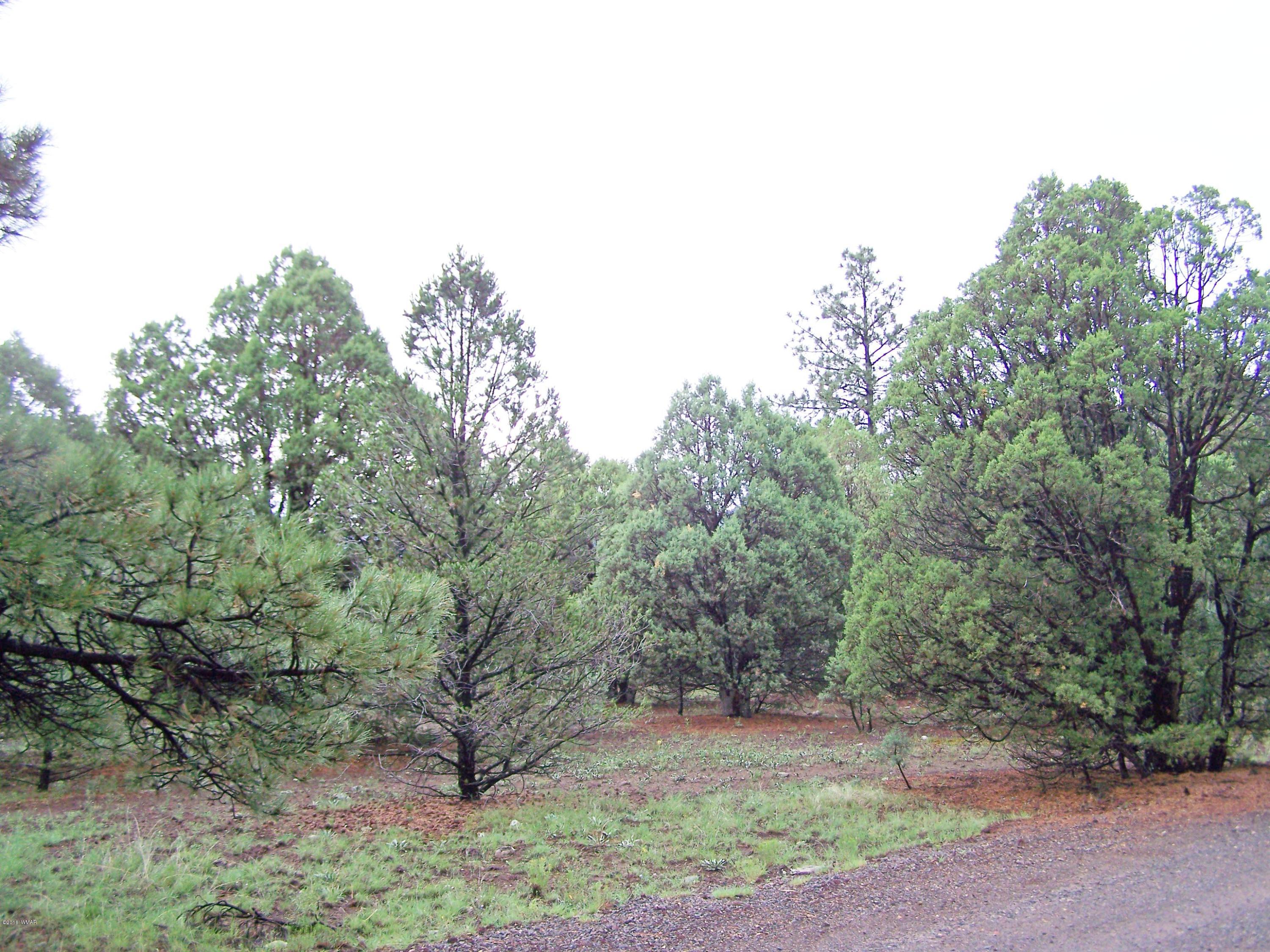 0 County Road Nutrioso, AZ 85932 - Photo 4 of 8