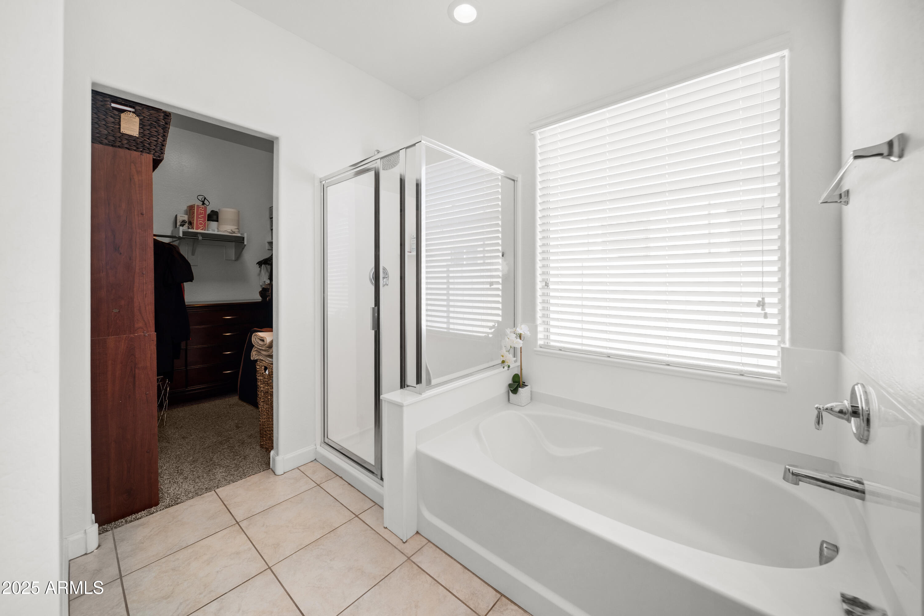 23690 West Ripple Road Buckeye, AZ 85326 - Photo 12 of 20 DSC05485
