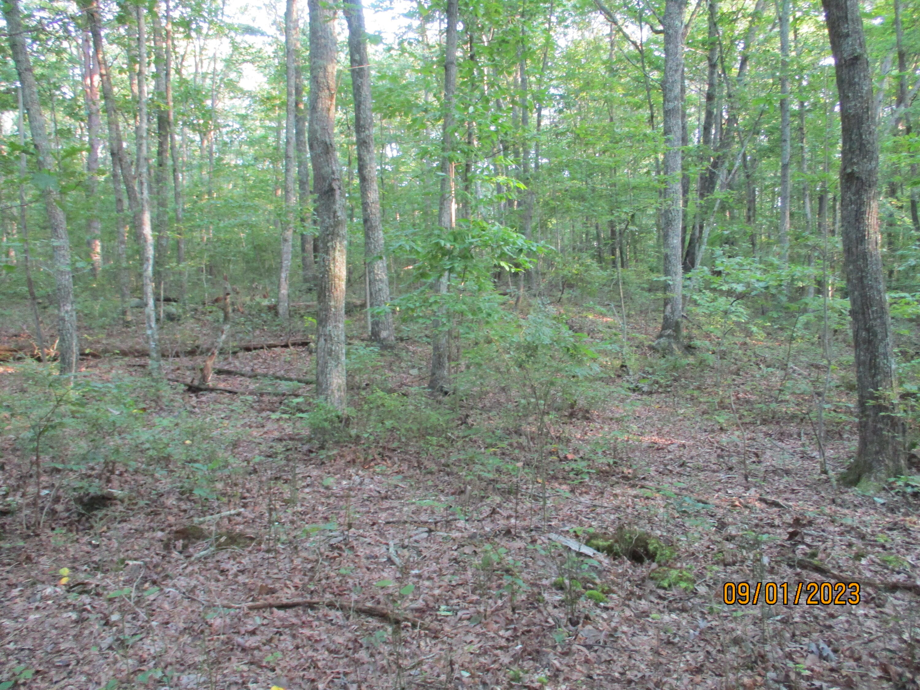 0 Jason Road, Unit 118 Pikeville, TN 37367 - Photo 11 of 25 IMG_1903