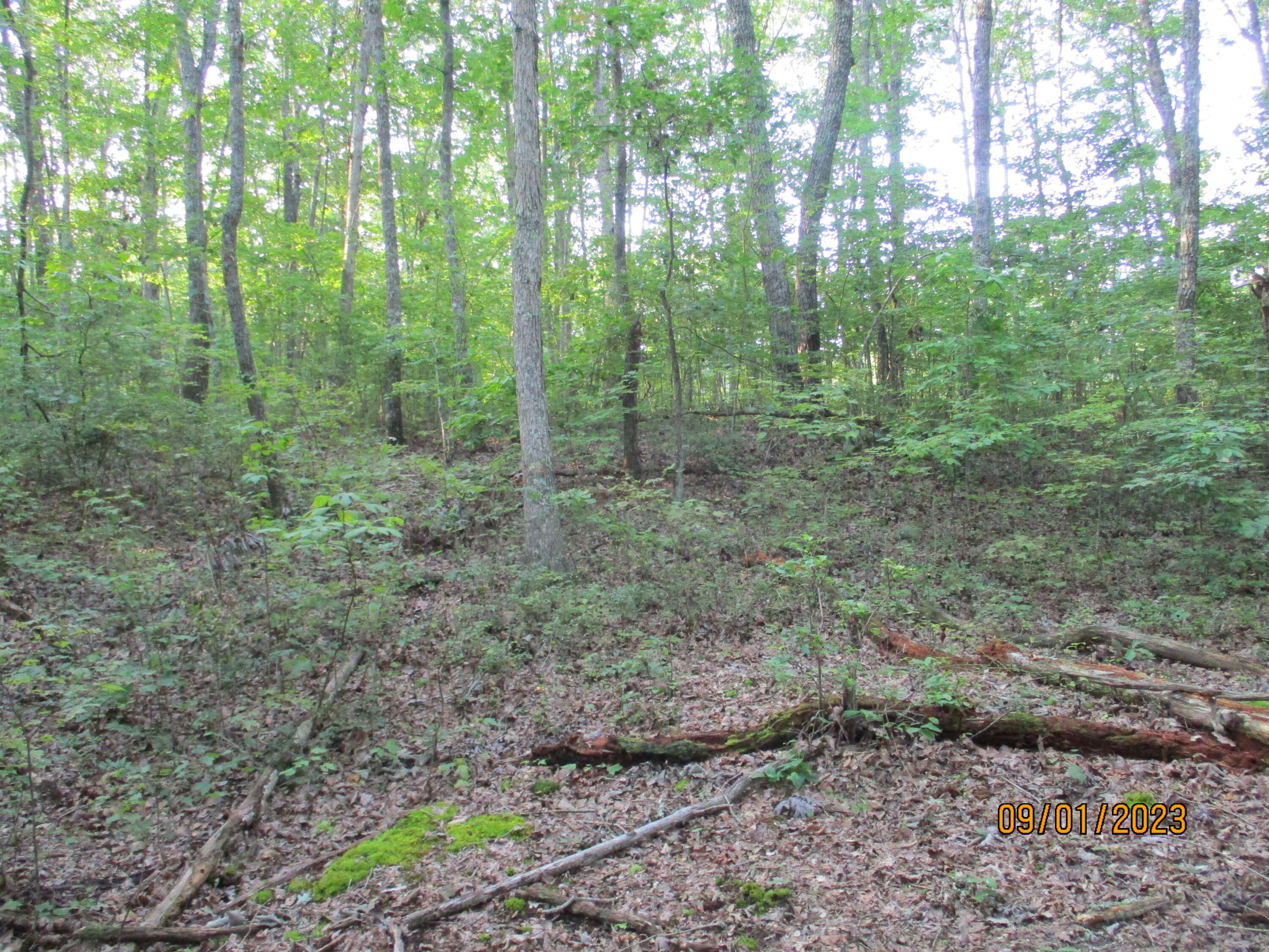 0 Jason Road, Unit 118 Pikeville, TN 37367 - Photo 12 of 25 IMG_1904