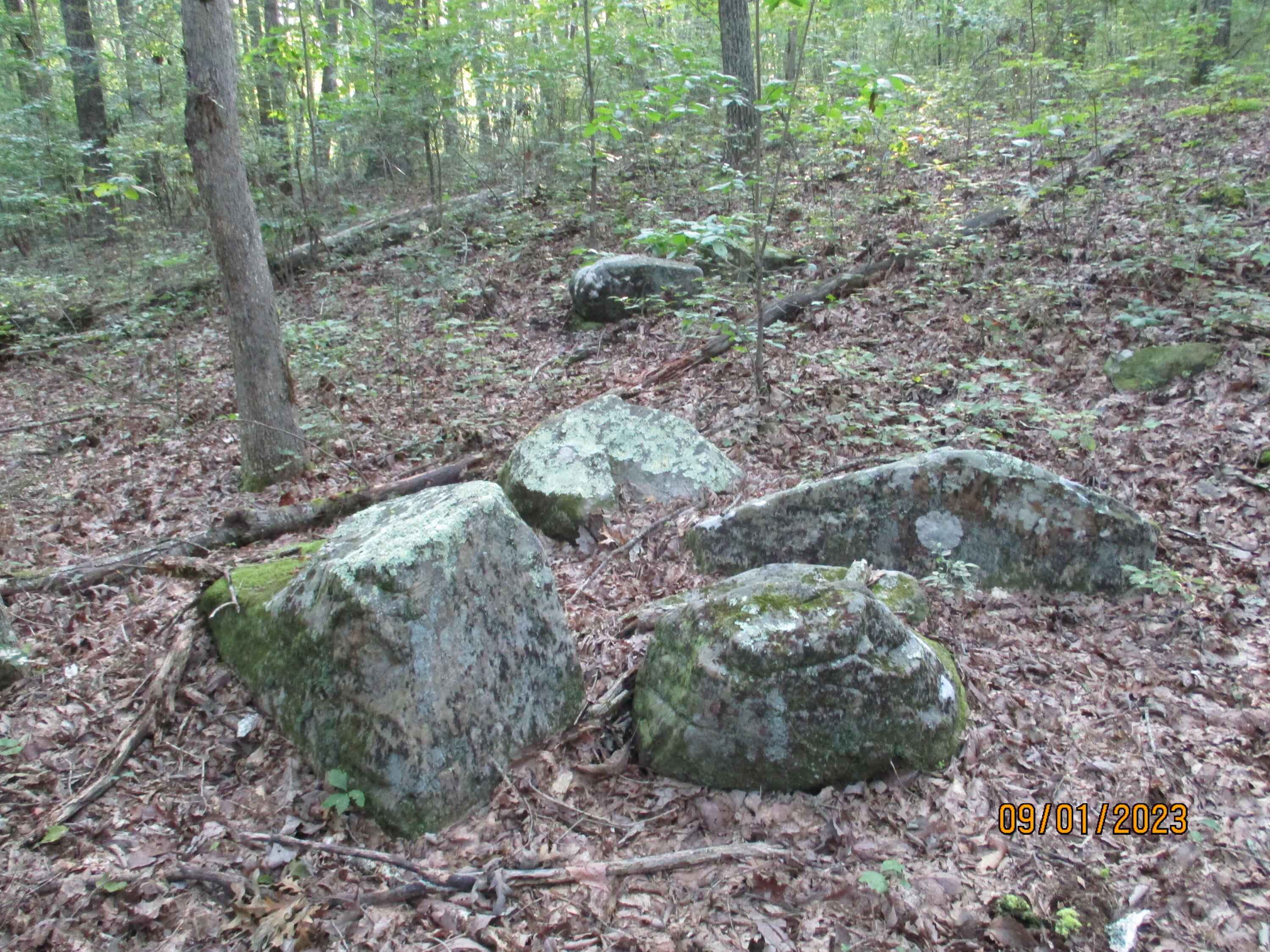 0 Jason Road, Unit 118 Pikeville, TN 37367 - Photo 14 of 25 IMG_1906