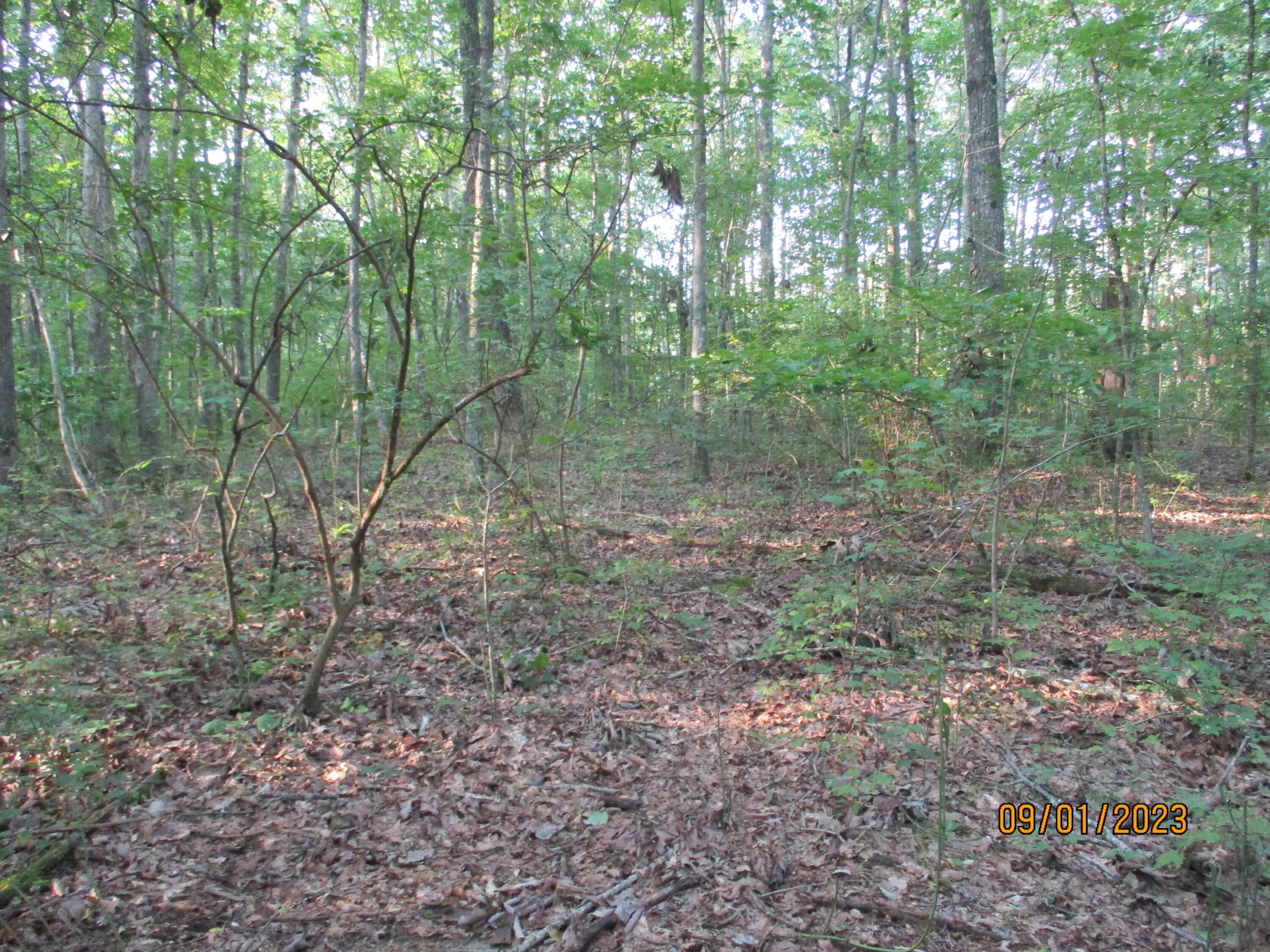 0 Jason Road, Unit 118 Pikeville, TN 37367 - Photo 18 of 25 IMG_1910