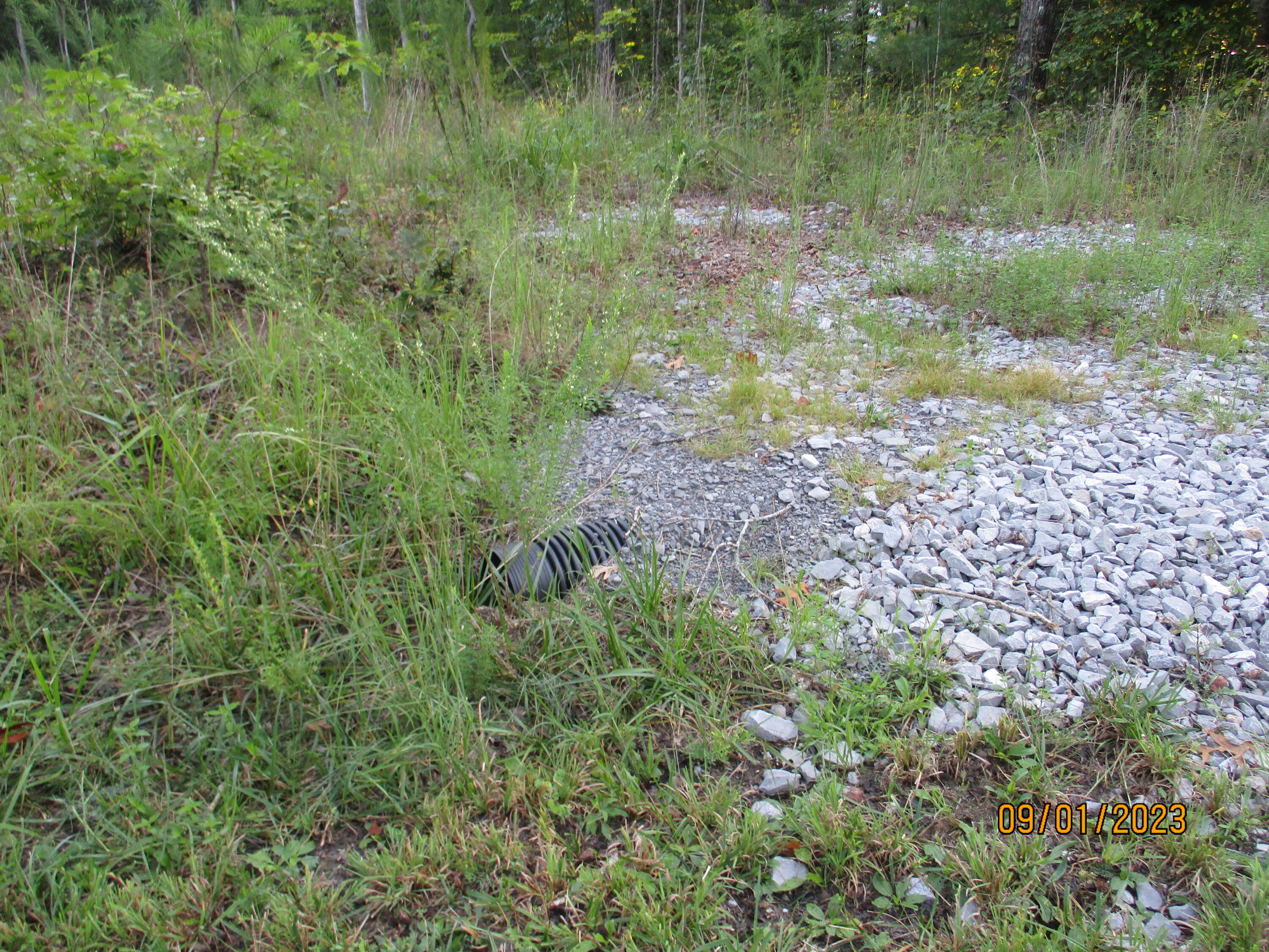 0 Jason Road, Unit 118 Pikeville, TN 37367 - Photo 2 of 25 IMG_1894
