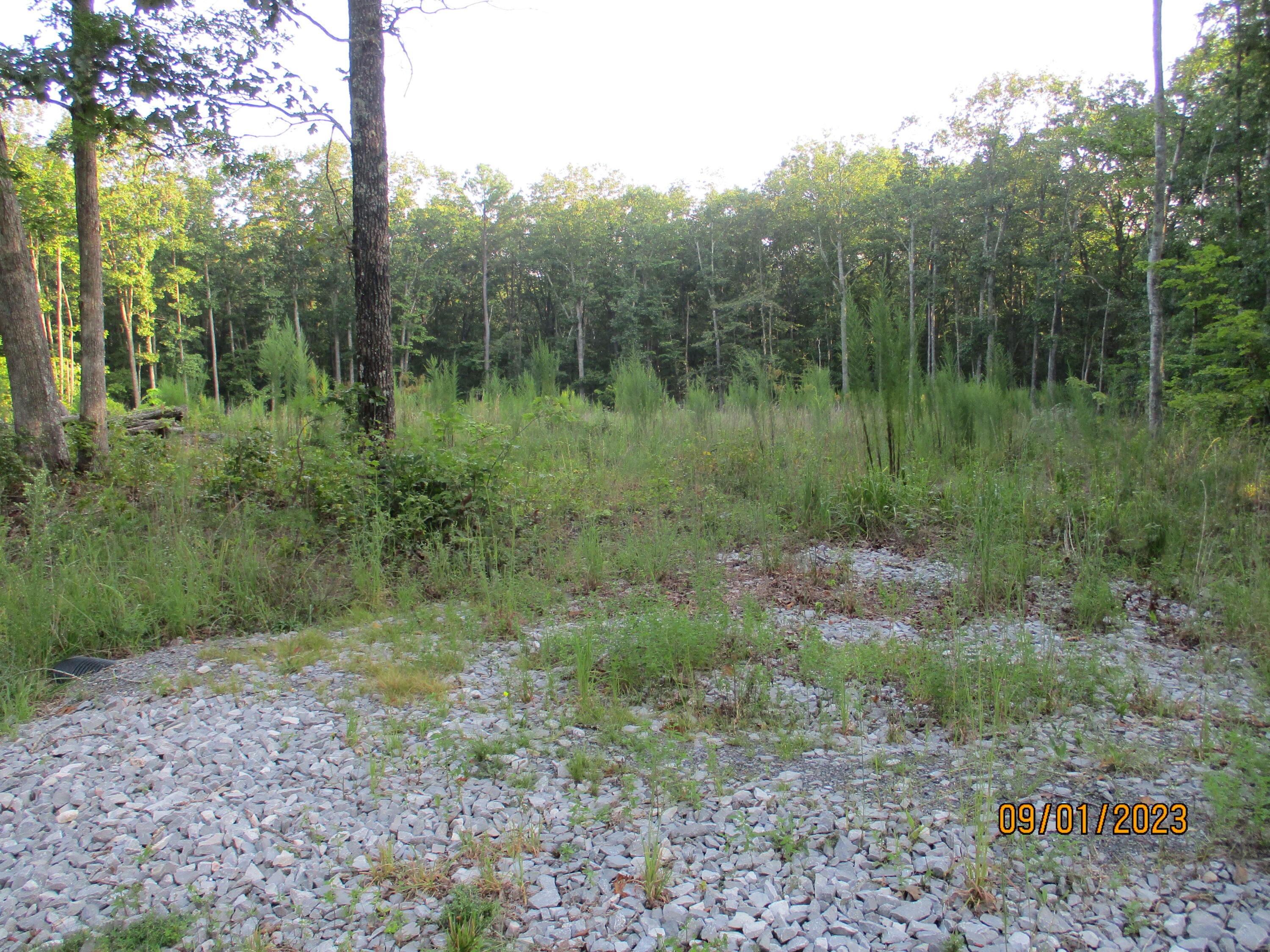 0 Jason Road, Unit 118 Pikeville, TN 37367 - Photo 3 of 25 IMG_1895