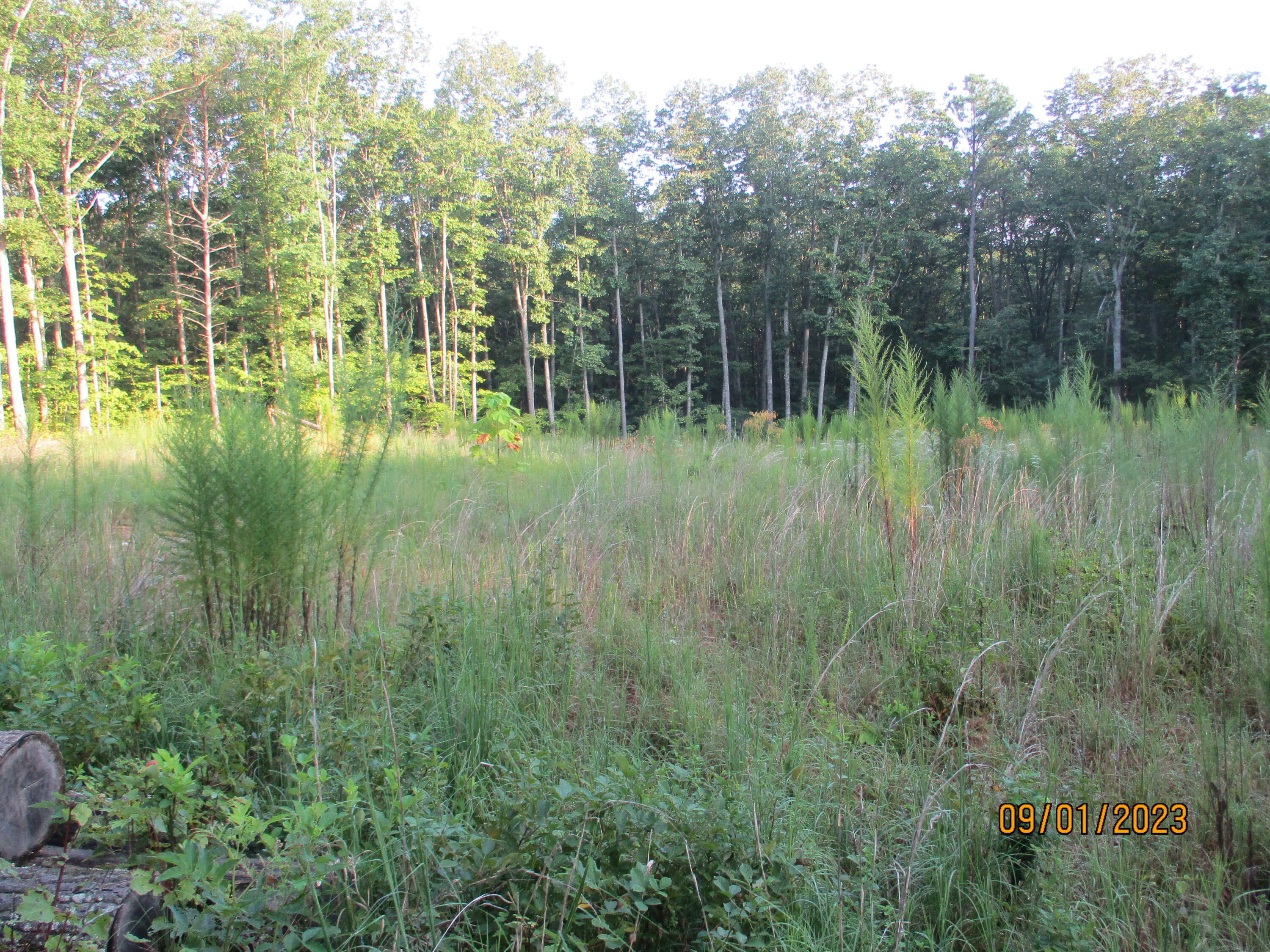 0 Jason Road, Unit 118 Pikeville, TN 37367 - Photo 4 of 25 IMG_1896