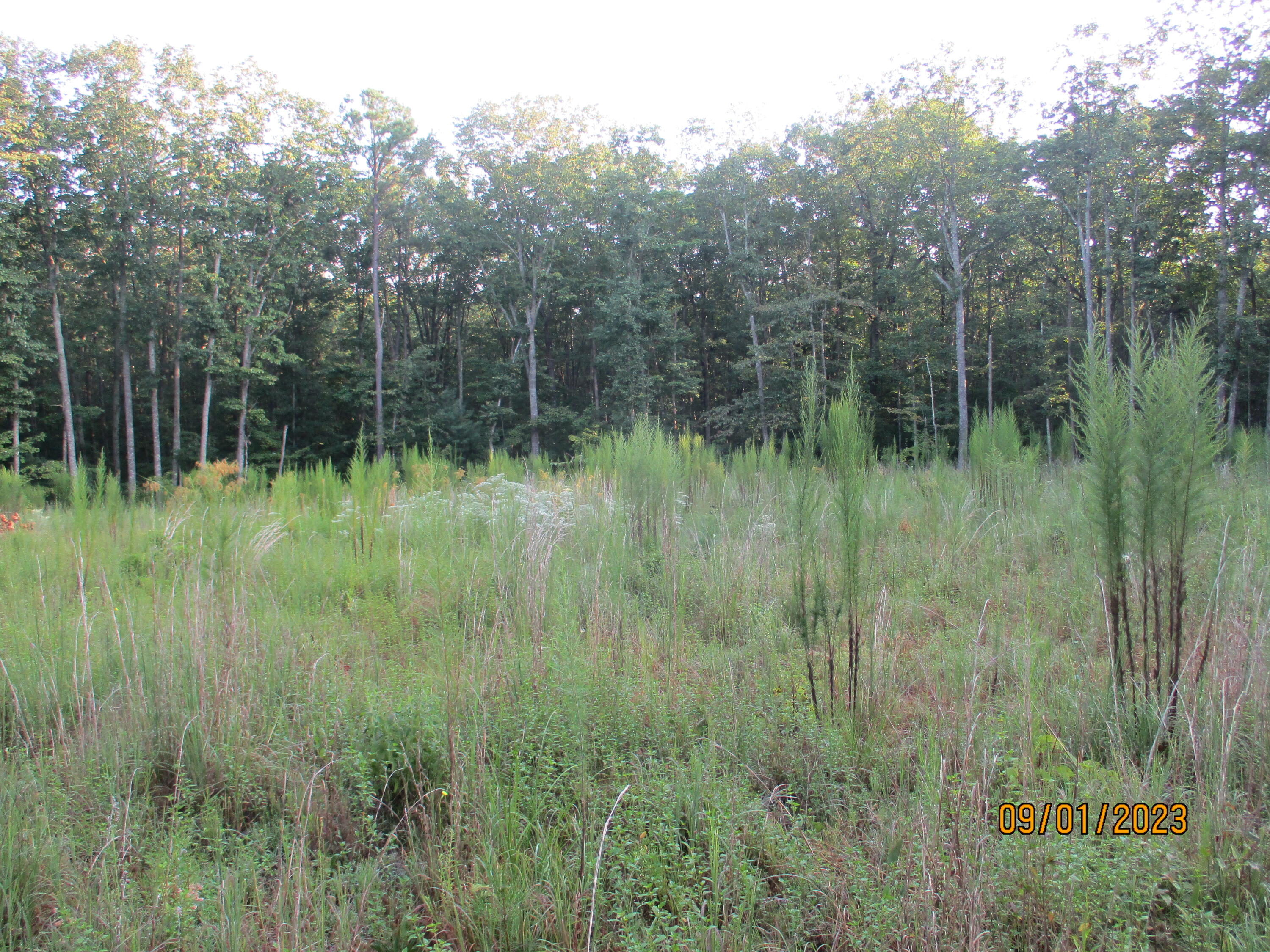 0 Jason Road, Unit 118 Pikeville, TN 37367 - Photo 5 of 25 IMG_1897