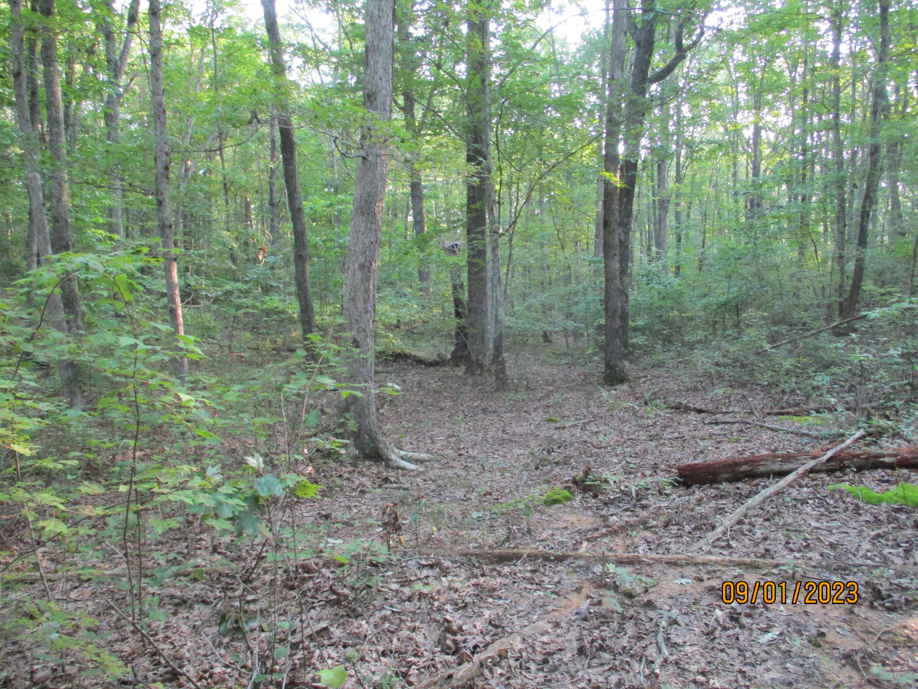 0 Jason Road, Unit 118 Pikeville, TN 37367 - Photo 8 of 25 IMG_1900