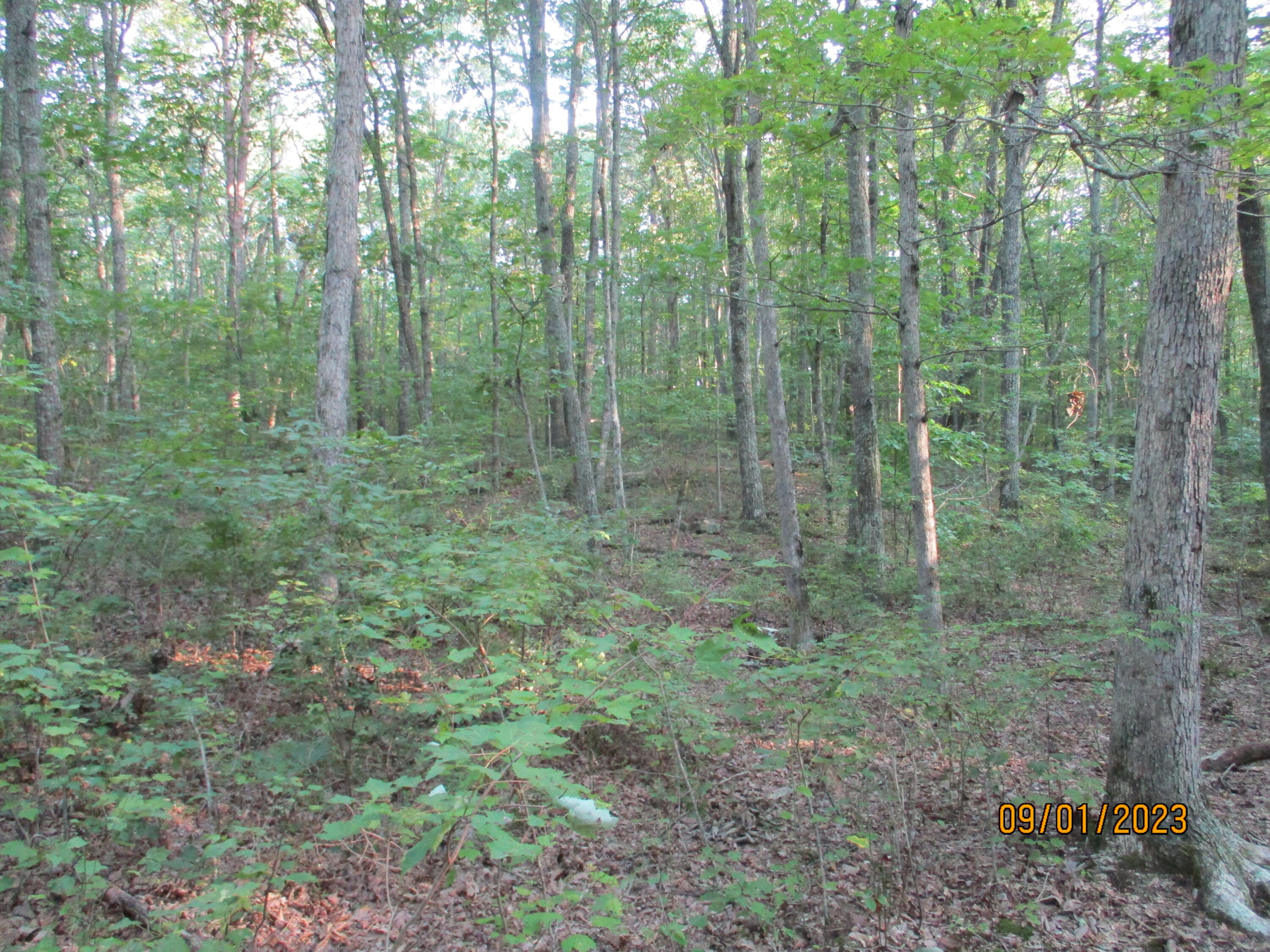 0 Jason Road, Unit 118 Pikeville, TN 37367 - Photo 10 of 25 IMG_1902