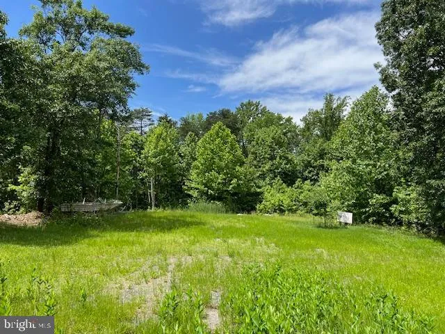a view of a field with a tree in it