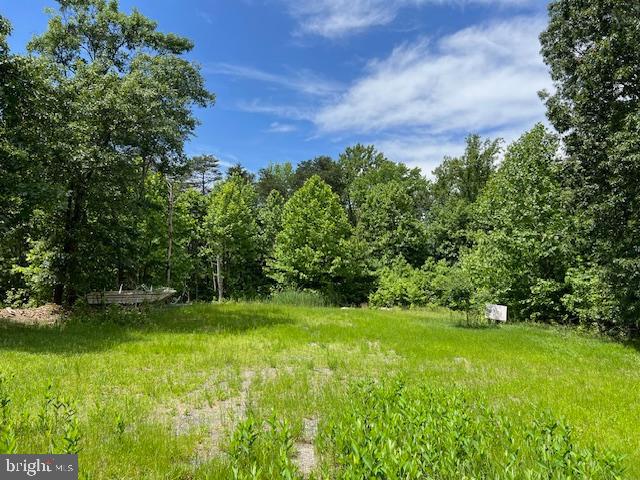a view of a field with a tree in it