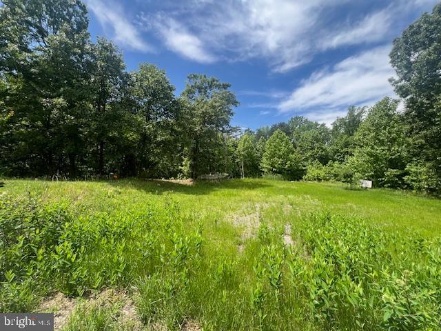 2601 John A Thompson Road Temple Hills, MD 20748 - Photo 2 of 7 a view of a garden