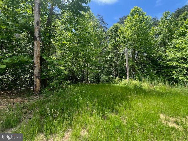 2601 John A Thompson Road Temple Hills, MD 20748 - Photo 3 of 7 a view of a lush green space